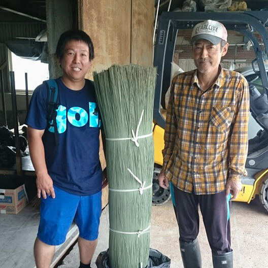 日本一のイ草の産地熊本県八代の農家様